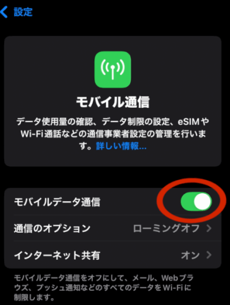 「モバイルデータ通信」のスイッチをオン